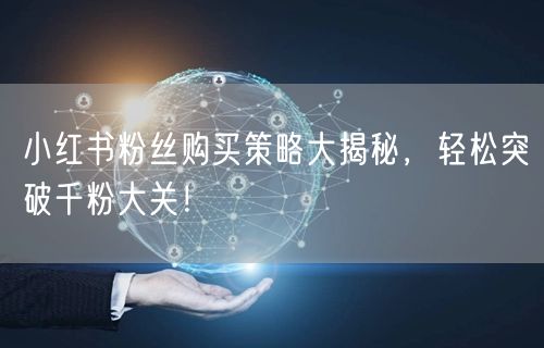 小红书粉丝购买策略大揭秘，轻松突破千粉大关！
