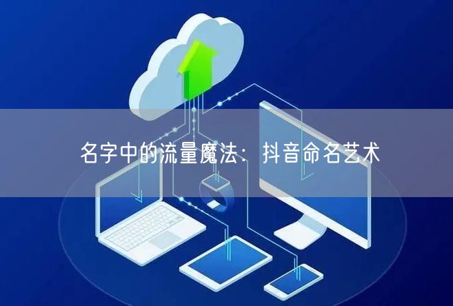 名字中的流量魔法：抖音命名艺术