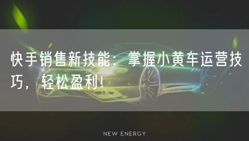 快手销售新技能：掌握小黄车运营技巧，轻松盈利！