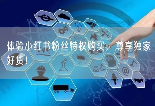 体验小红书粉丝特权购买，尊享独家好货！