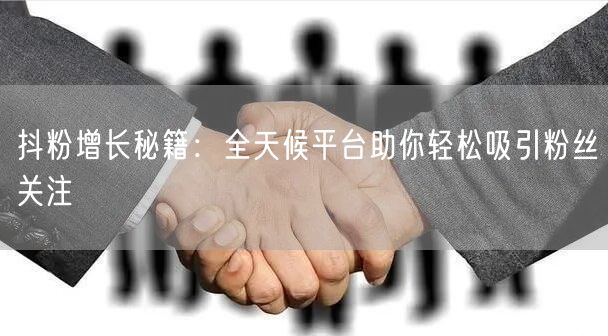 抖粉增长秘籍：全天候平台助你轻松吸引粉丝关注