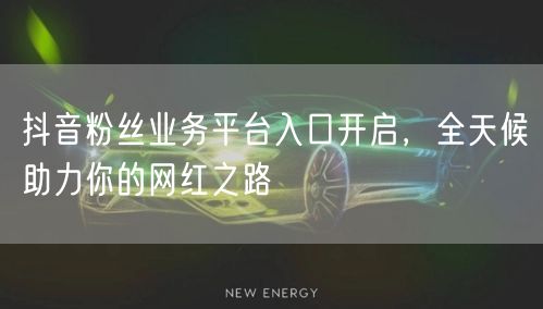 抖音粉丝业务平台入口开启，全天候助力你的