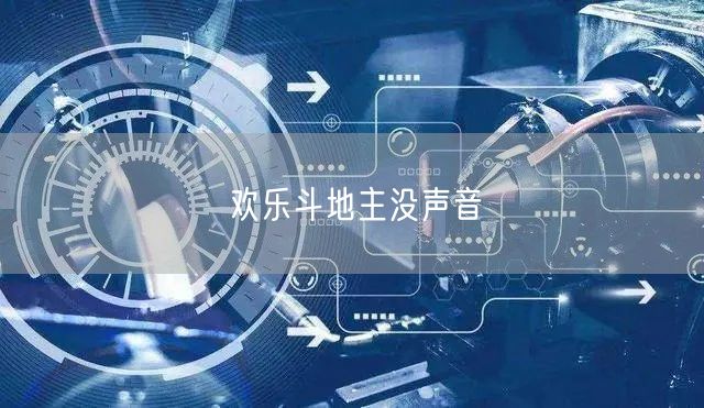 欢乐斗地主没声音