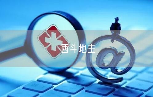 西斗地主